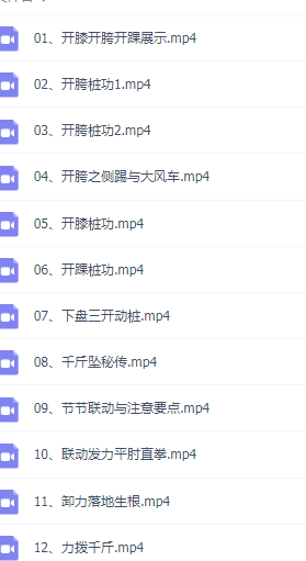 内家拳上层功夫不传之秘下盘三开发力训练开胯开膝开踝武术完整版